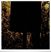 Roanoke Virginia - Birdhouse Silhouette Roanoke Virginia - Birdhouse Silhouette